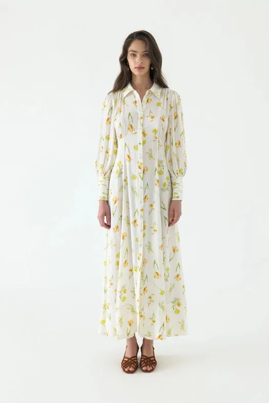 Juliet Collar Maxi Shirt Dress