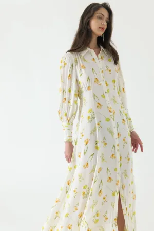 Juliet Collar Maxi Shirt Dress