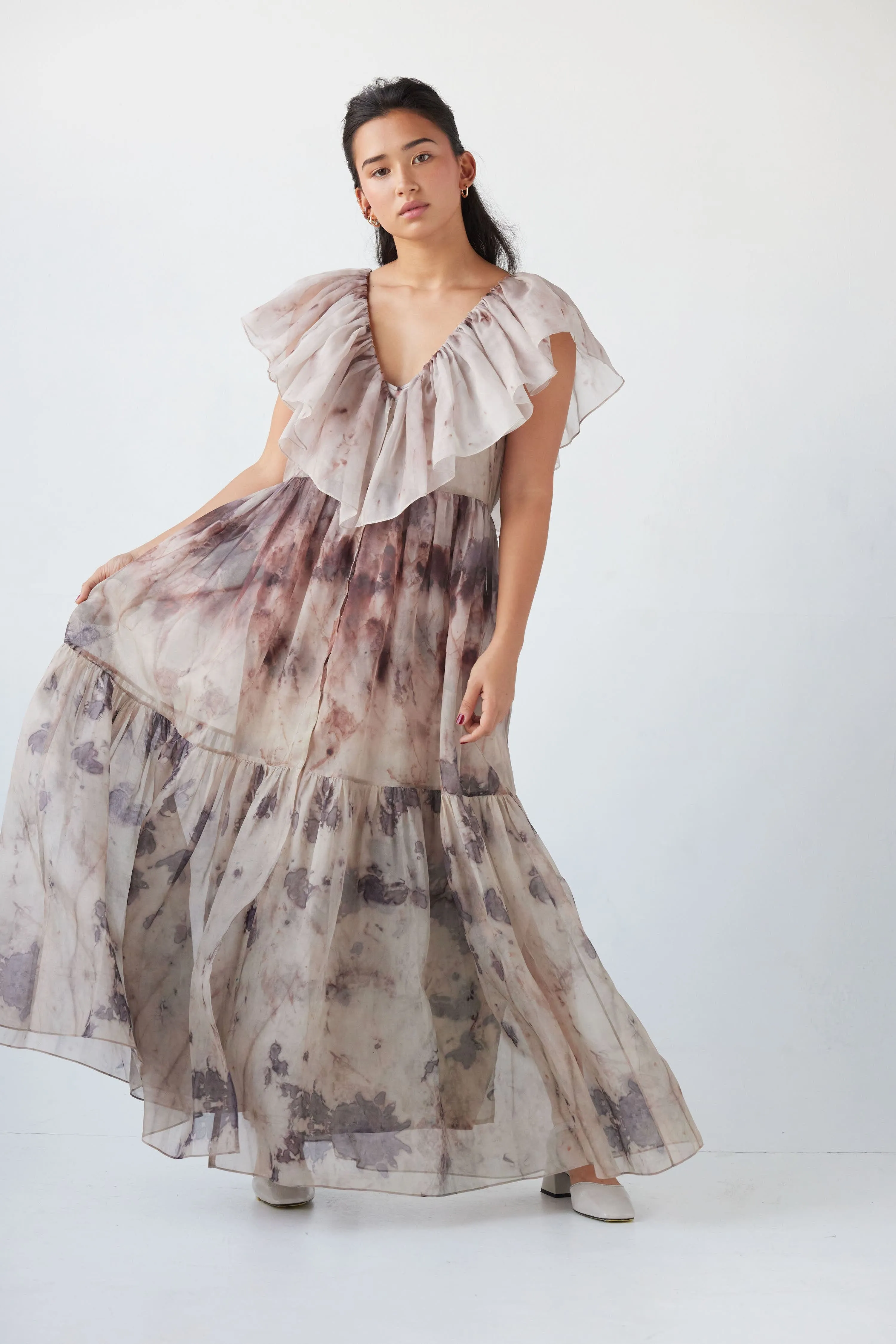 Papillon Dress in Printed Silk Organza