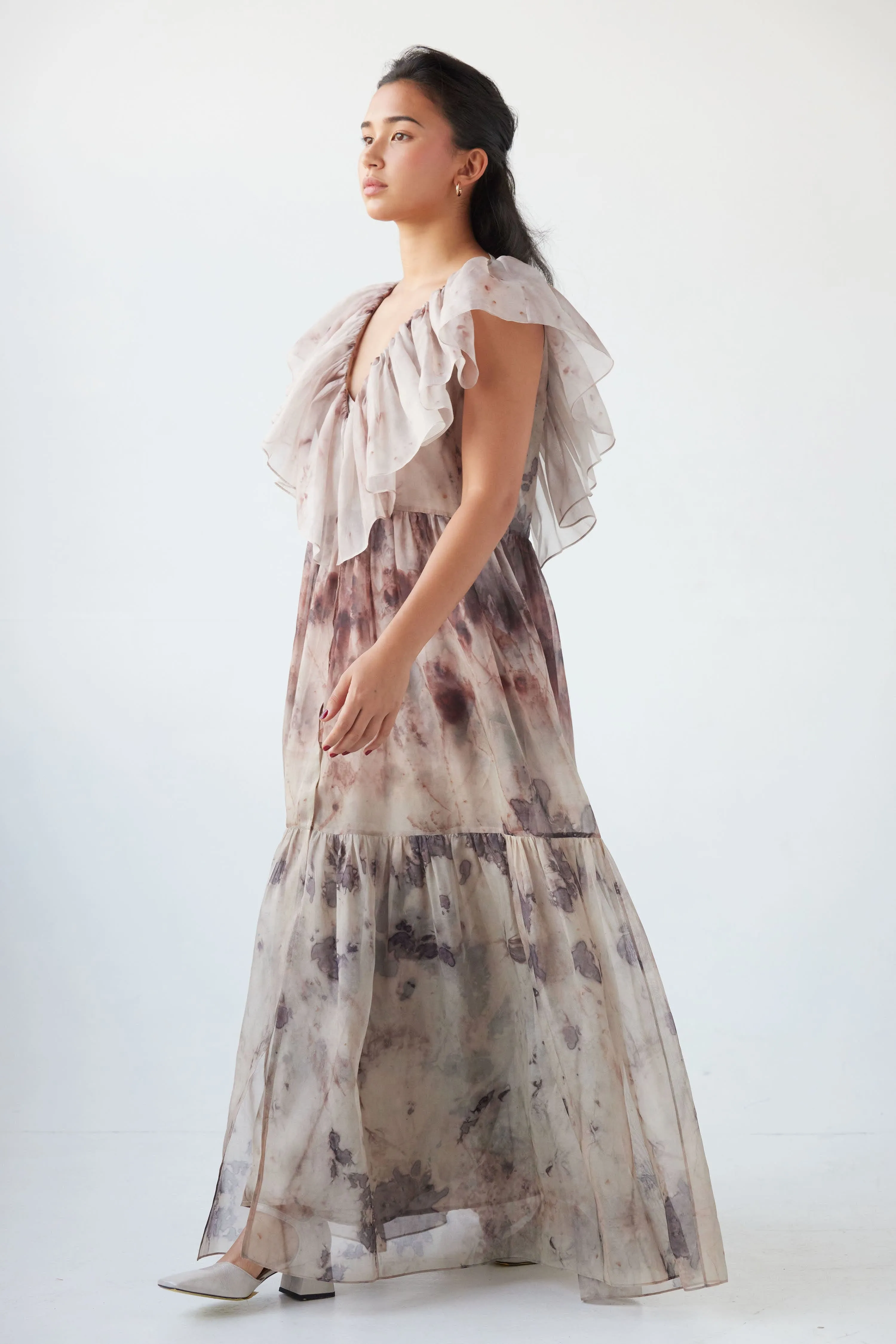 Papillon Dress in Printed Silk Organza