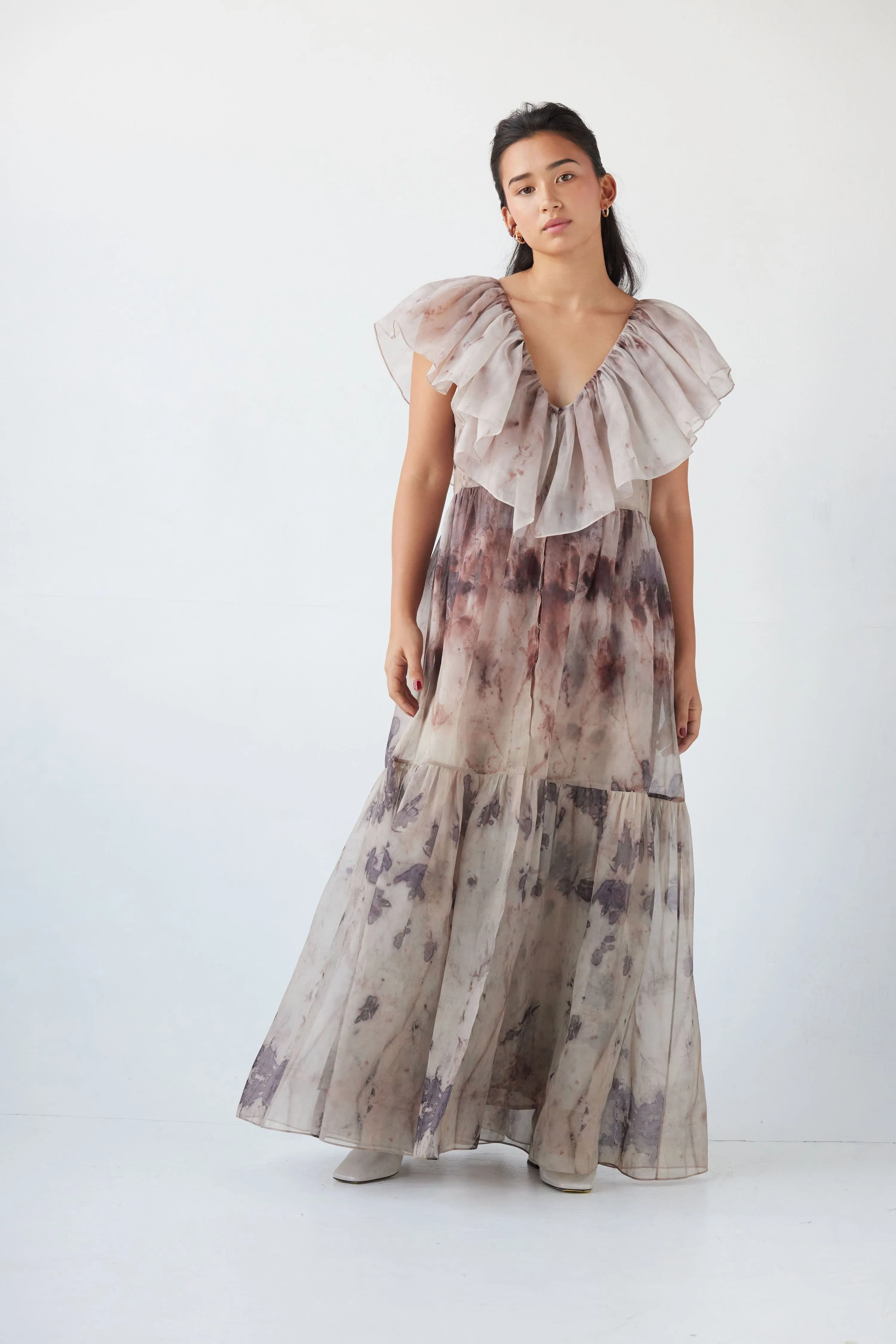 Papillon Dress in Printed Silk Organza